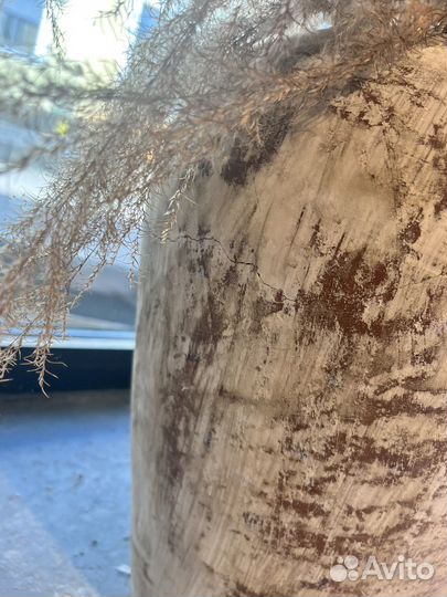 Помпасная трава комозиция в вазах сухоцветы