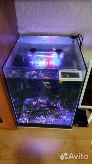 Аквариум с рыбками