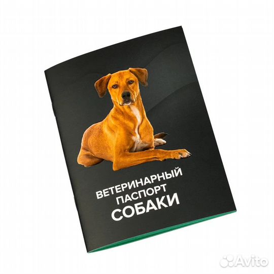 Ветеринарный паспорт для животных