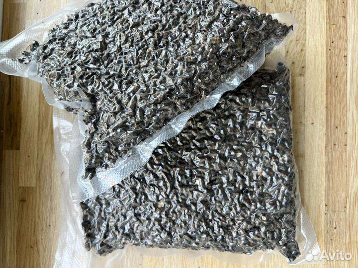 Пчелиный подмор