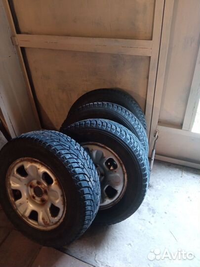 Maxxis Premitra Ice Nord NS5 215/65 R16