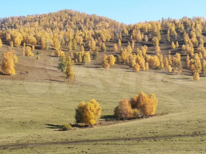 Участок 3 га (СНТ, ДНП)