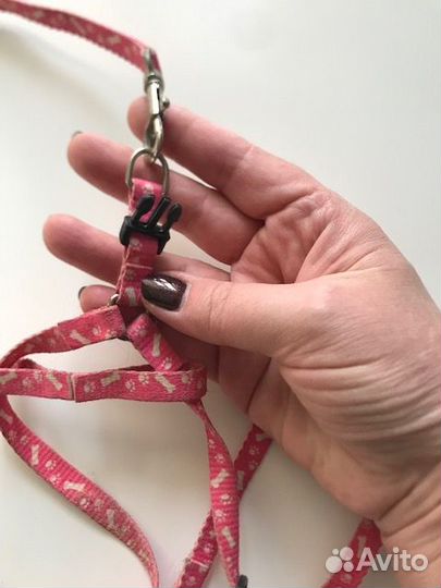 Шлейка для кошки