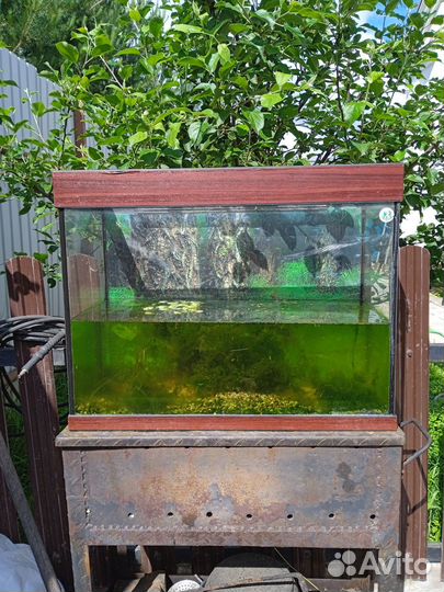Аквариум на 80л