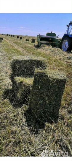 Сено в тюках