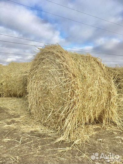 Солома в рулонах