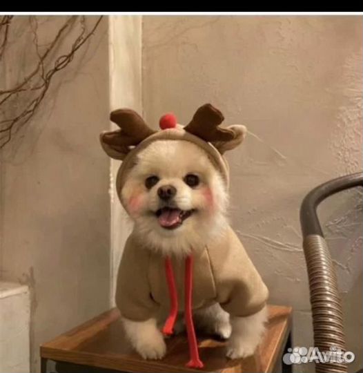 Костюм оленя для собак одежда для животных