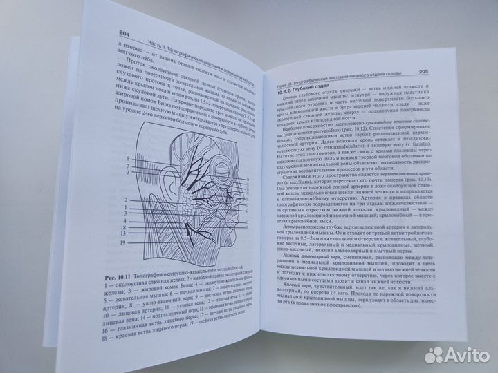 Топографическая анатомия - Каган