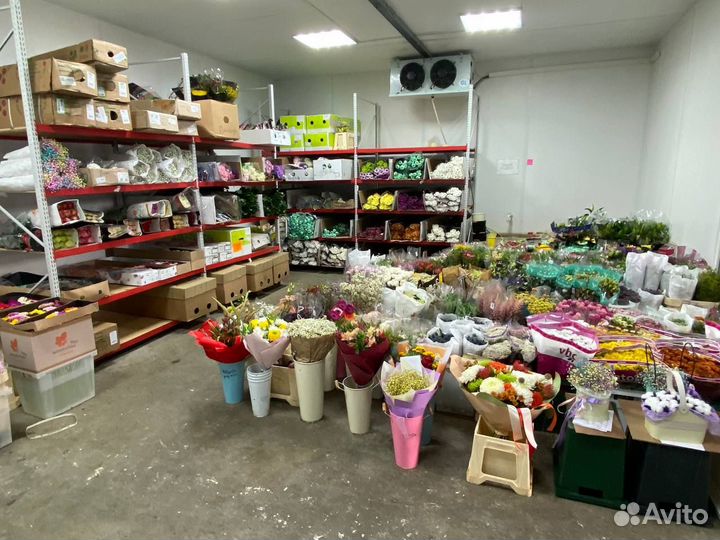 Хризантема оптом цветы розы зелень