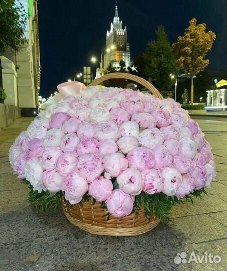 Пионы розница