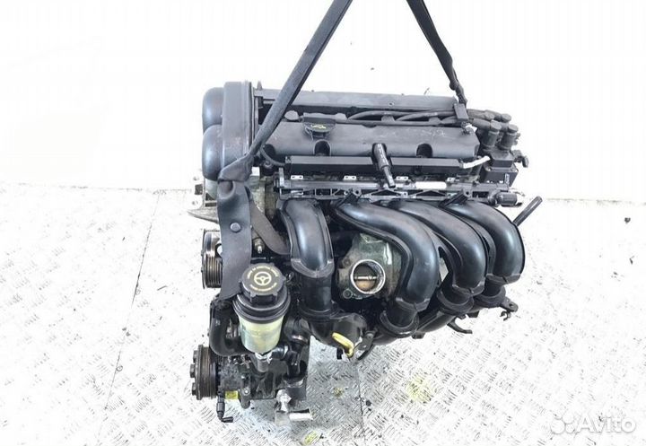 Двигатель ford duratec 1.6L shda hwda fyja