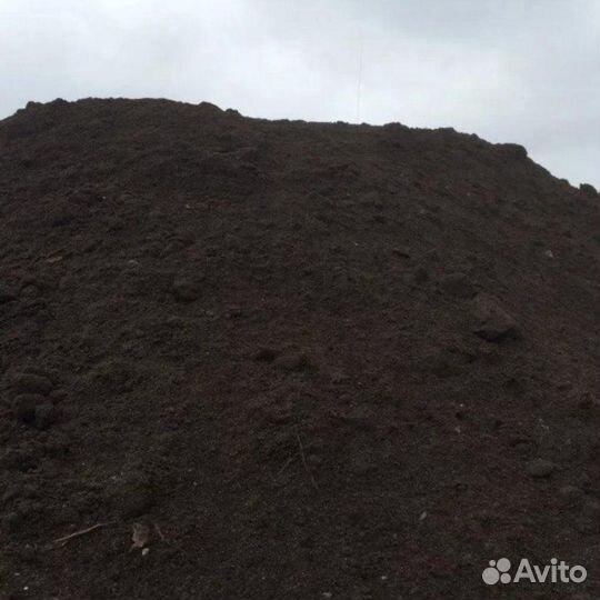 Куриный навоз