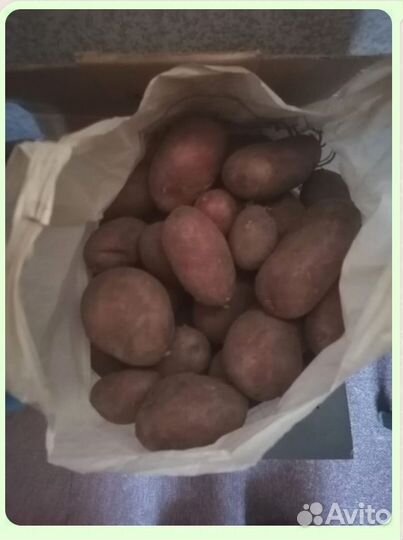 Продам картофель