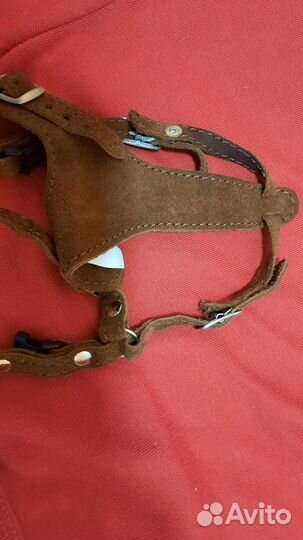 Шлейка для маленькой собаки и держатель