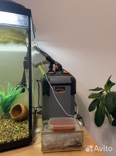 Аквариум aquael 200 литров с фильтром