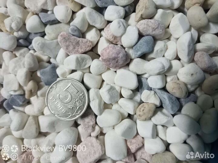 Для аквариума