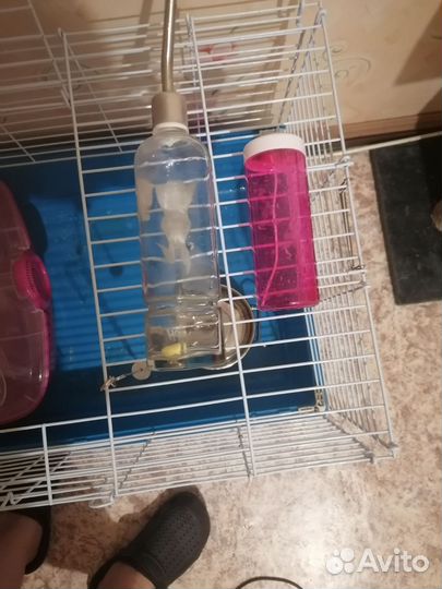 Клетка(Набор для декоративного кролика)