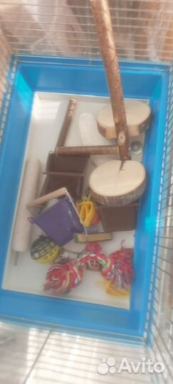 Клетка для попугая