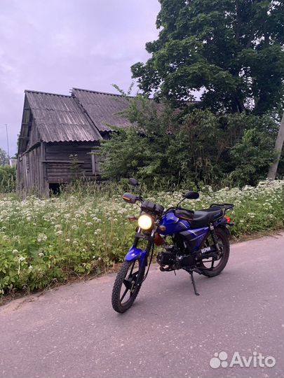 Альфа Хантер