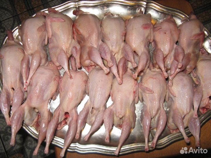 Продаю бройлер домашний