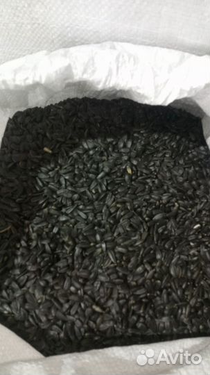 Семена подсолнечника Кулундийский