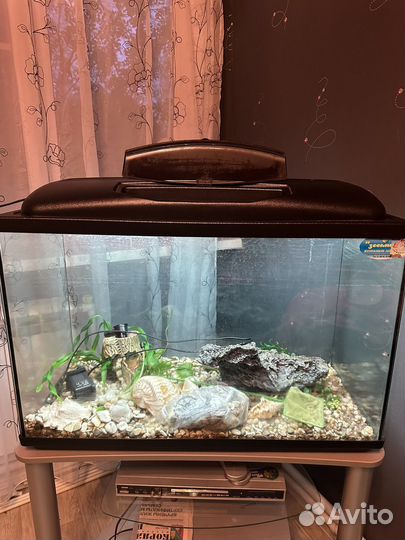 Аквариум с тумбой