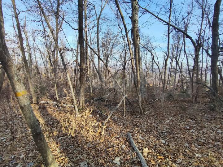 Участок 11,7 сот. (ИЖС)