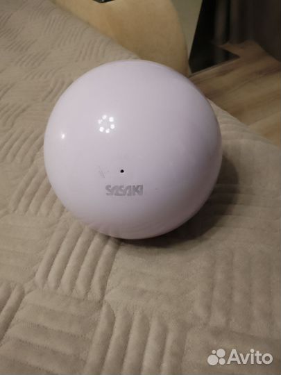 Гимнастический мяч