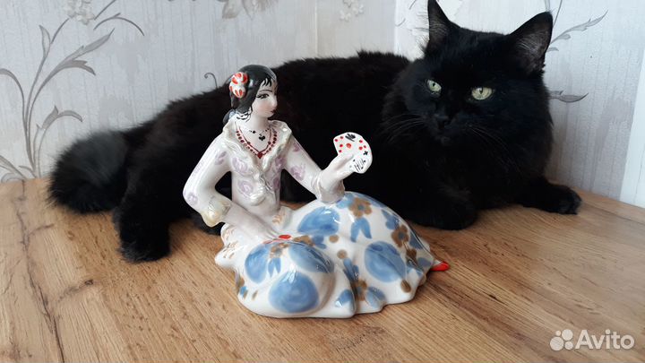 Цыганка пзхк