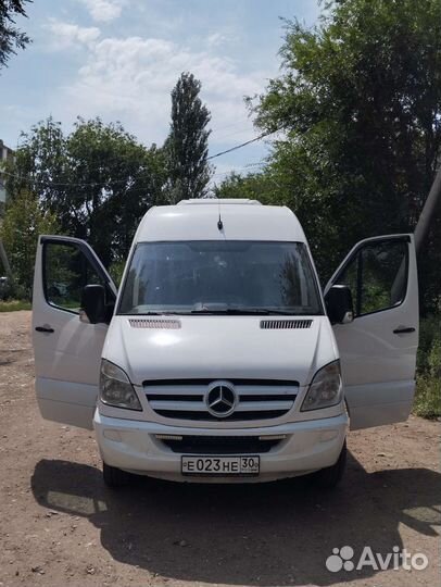 Пассажирские перевозки автобус