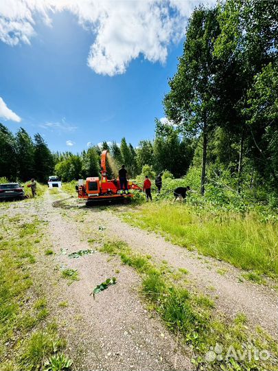 Расчистка участков от деревьев и кустарника