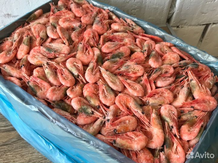Северные креветки в ассортименте