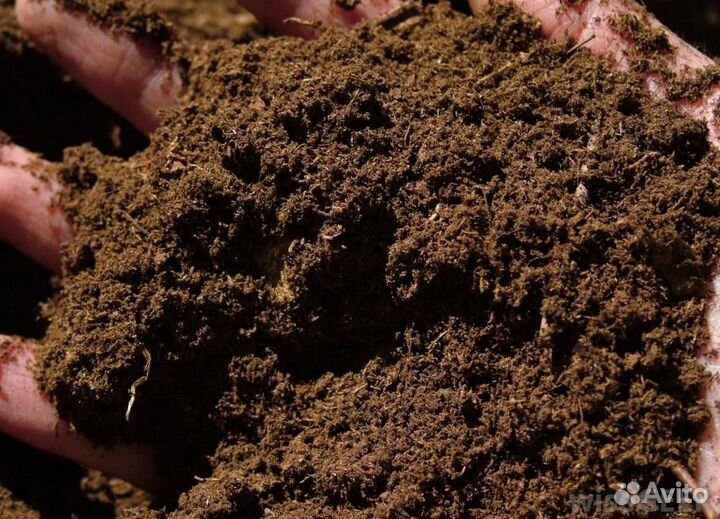 Торф от производителя