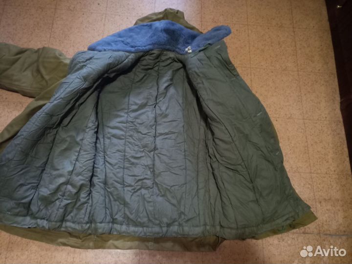 Мабута зимняя