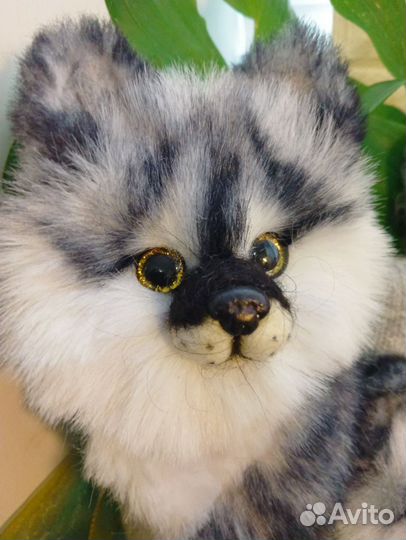 Звероварежки волк