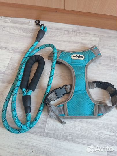 Амуниция для собак