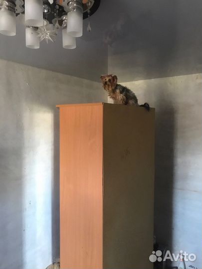 Шкаф