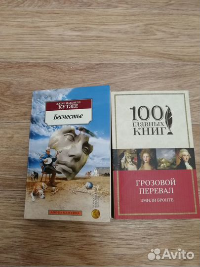 Книги Грозовой перевал, Бесчестье