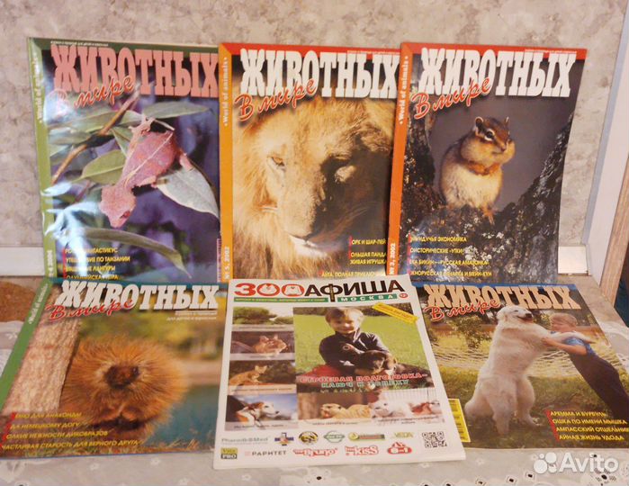 Журналы о лошадях