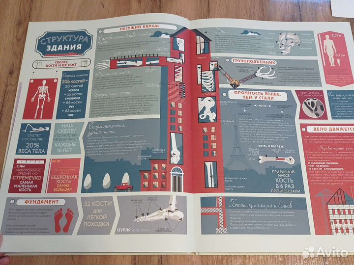 Книга атлас Анатомия человеческого тела