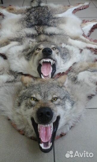 Чучела.делаю.продаю