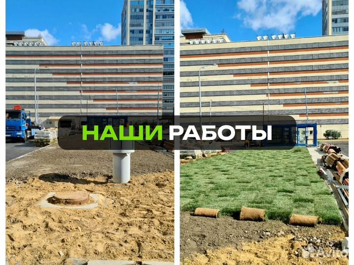 Рулонный газон Спорт. От производителя