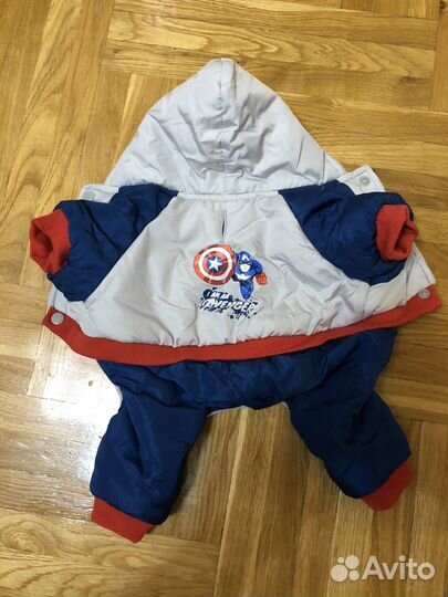 Одежда для маленьких собак s