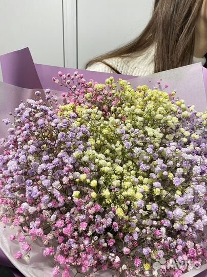 Гипсофила с доставкой