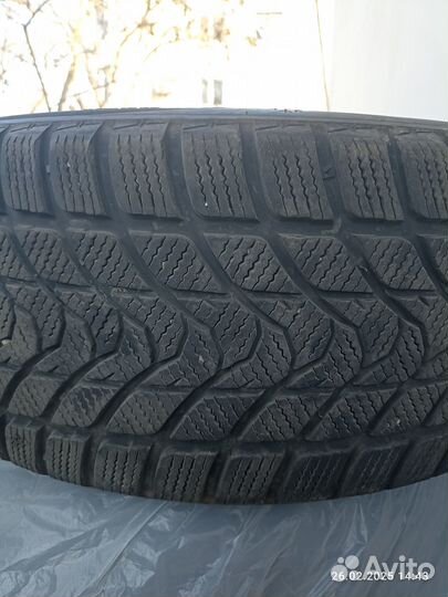 Delinte Winter WD1 235/50 R18 101H