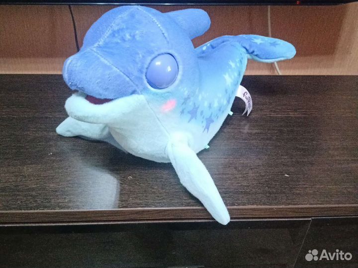 Дельфин долли