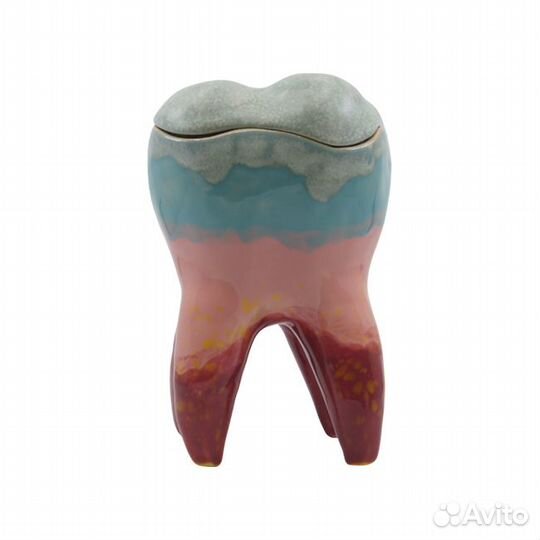 Декоративный зуб из керамики с крышкой, средний, ц