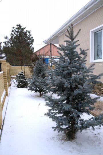 Дом 116 м² на участке 10 сот.