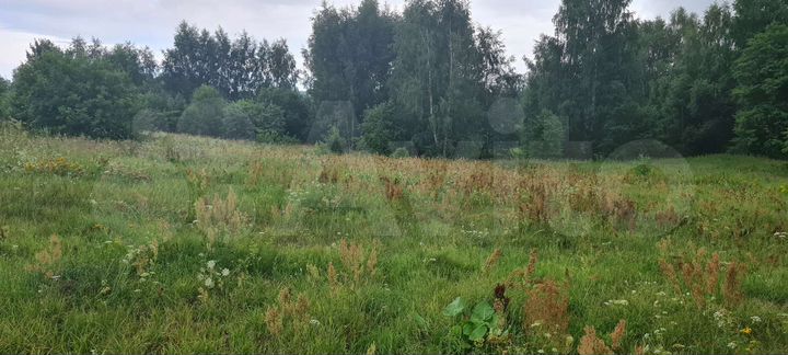 Участок 10 сот. (ИЖС)