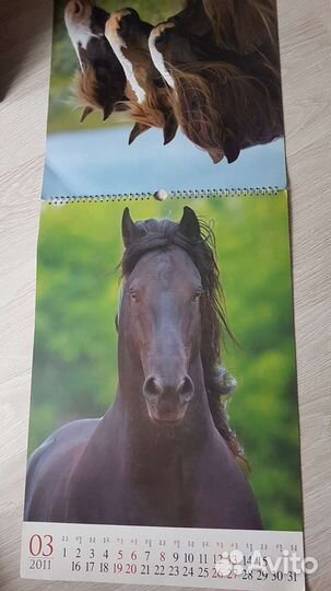 Календарь настенный перекидной 2011